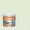 TOA ExtraCote Semi-Gloss for Exterior 7692 Gardener's Delight 1GL
