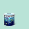 BegerCool Diamond Shield Plus Exterior Sheen Placid Pond 049-3 9 litres