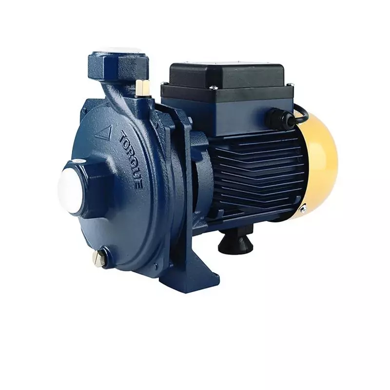 ปั๊มหอยโข่ง 1 แรงม้า 1 นิ้ว TORQUE รุ่น TQ-WP-TQ100S-1
