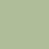 Dulux Inspire Exterior Semi-Gloss Foliage 038-ES 1 US Gallon