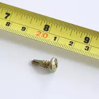 Thread Cutting Screw PAN