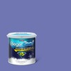 BegerCool Diamond Shield 15 Interior Sheen Blue Bomber 015-5 9 litres