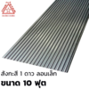 สังกะสี 1 ดาว ลอนเล็ก ขาว 10 ฟุต