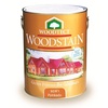 สีย้อมไม้ WOODTECT #WG-104 สีไม้มะค่า ชนิดเงา 1/4แกลลอน (1000778)
