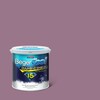 BegerCool Diamond Shield 15 Exterior Sheen Nice Smile 125-5 9 litres (Cancelled)
