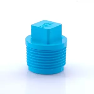 Valve Plug-WS B SCG 25 mm 1-inch
