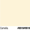 JBP Future Shield (Semi-Gloss) Camellia 2.5 Gallon