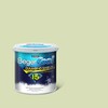 BegerCool Diamond Shield 15 Exterior Semi-Gloss Desert Willow 071-2 9 litres (Cancelled)