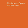 Dulux Inspire Exterior Semi-Gloss Caribbean Spice 80YR 24/569 3 Litre