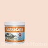 TOA ExtraCote Semi-Gloss for Exterior 8635 Fresh Air 1GL