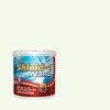 TOA Shield-1 Nano Sheen for Exterior and Interior 157 Apple White 5GL