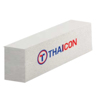 THAICON AAC Lightweight Block 20 cm G4 Super Pro 20x60x20 cm