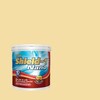 TOA Shield-1 Nano Sheen for Exterior and Interior 181 Golden Wheat 1GL