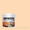 TOA Supertech Plus Acrylic Paint Semi-Gloss for Exterior PG111 Candle Glow 1GL