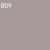 TPI-NP101S Super Special Armour Nano Top Coat Paint B09 1 GL