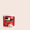 TOA 4 Seasons Acrylic Paint Matt for Exterior A1010 Chestnut 1GL