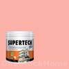 TOA Supertech Plus Acrylic Paint Semi-Gloss for Exterior 8048 Perfect Touch 1GL