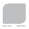 Dulux Pentalite Shield Matt Silver Trophy 30BB 53/012 9 Litre