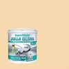 TOA SuperShield AQUA GLOSS Water Base Enamel Q602 Peach 1GL