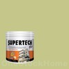 TOA Supertech Plus Acrylic Paint Semi-Gloss for Exterior 7800 Spring Celebration 1GL