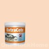 TOA ExtraCote Semi-Gloss for Exterior X205 Fantasy 1GL