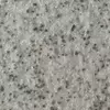 Terralite Stone เทอร์ราไลท์ สโตน สีสร้างลายหิน ระดับพรีเมียม CT-255 ขนาด 25 kg