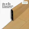 Royal Beech