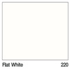 #Flat White 5 แกลลอน