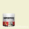 TOA Supertech Plus Acrylic Paint Matt for Exterior 7772 Burst of Spring 2.5GL