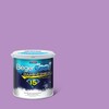 BegerCool Diamond Shield 15 Exterior Sheen Iris Legend 002-5 3.5 litres (Cancelled)