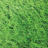 Artificial Grass SCG: Saving Grass (make to order) 25 mm Forest Green
