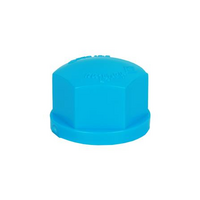 ฝาครอบเกลียวใน PVC 1 นิ้ว สีฟ้า ท่อน้ำไทย (41770)
