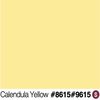 JBP Future Shield (Semi-Gloss) Calendula Yellow 2.5 Gallon