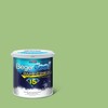 BegerCool Diamond Shield 15 Exterior Sheen Gathering Moss 065-5 3.5 litres (Cancelled)