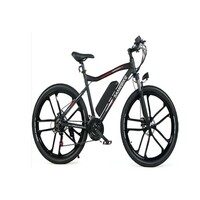 electric bicycle-LVHL26A
NEW（1）