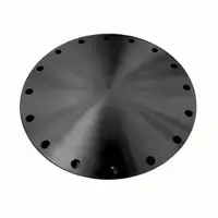 Cast Iron Blind Flange 12 in