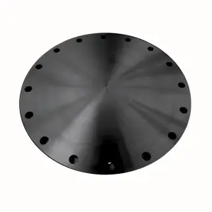 Cast Iron Blind Flange 12 in-1