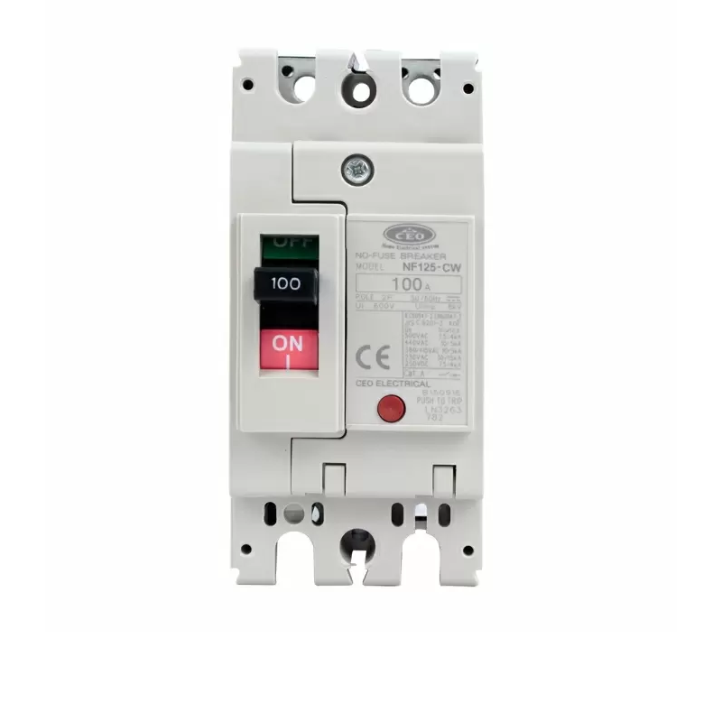 เบรกเกอร์ 2P 100A รุ่น NF125-CW-1