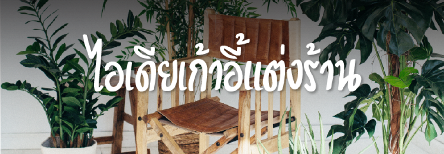 เลือกเก้าอี้ตกแต่งร้าน น่านั่ง นั่งสบาย จนไม่อยากลุก 