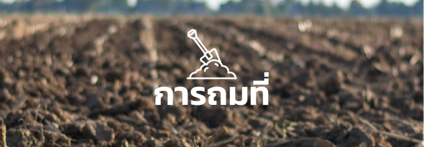 การถมที่ดิน