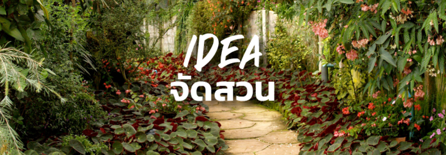 จัดสวนหน้าบ้าน สวนข้างบ้าน