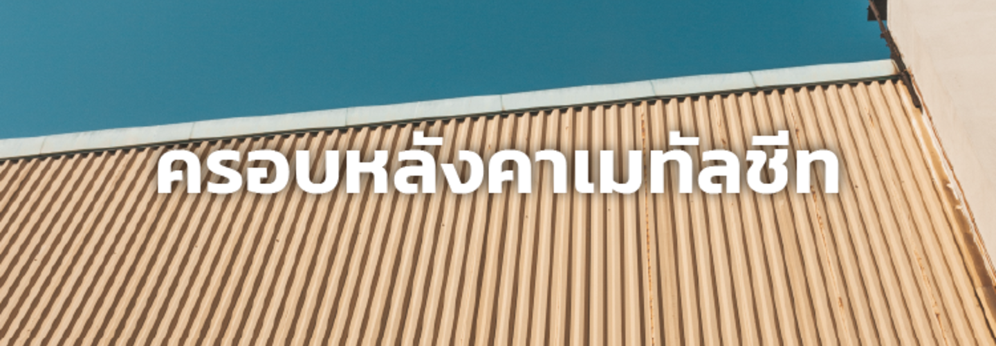 แผ่นปิดครอบมาตรฐาน แผ่นเมทัลชีท 