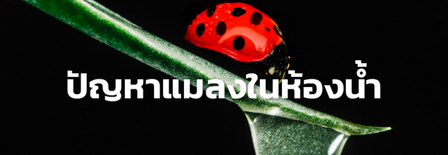 ปัญหา"แมลง"ในห้องน้ำ