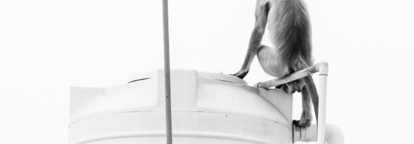 เปลี่ยนจากถังเก็บน้ำใต้ดิน มาเป็นถังเก็บน้ำบนดินกันเถอะ