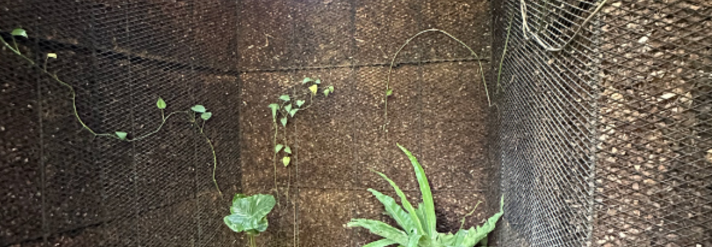 ตะแกรงเหล็กฉีก เหล็กตะแกรงฉีก นำมาประยุกต์เป็นอะไรได้บ้าง