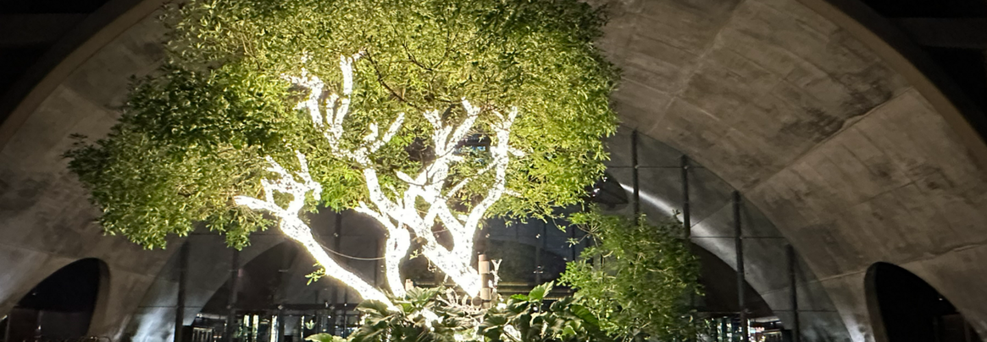 ติดตั้ง หลอดไฟ ตรงไหนจึงจะคุ้มค่าและได้ประโยชน์ที่สุด