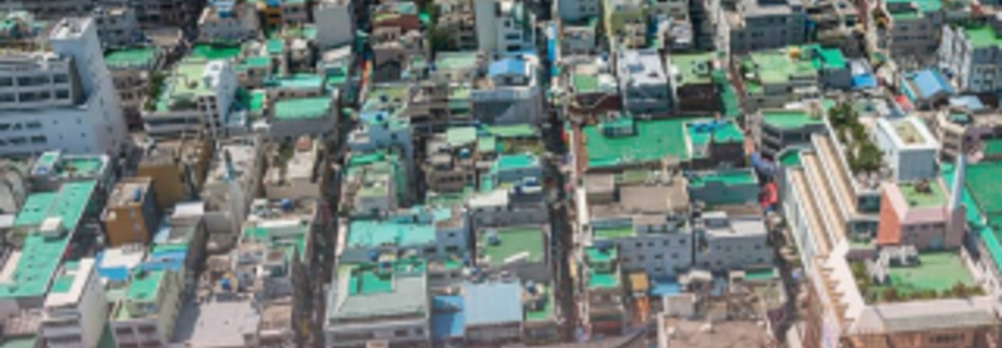 ทำไมดาดฟ้าที่เกาหลีใต้ถึงเป็นสีเขียว