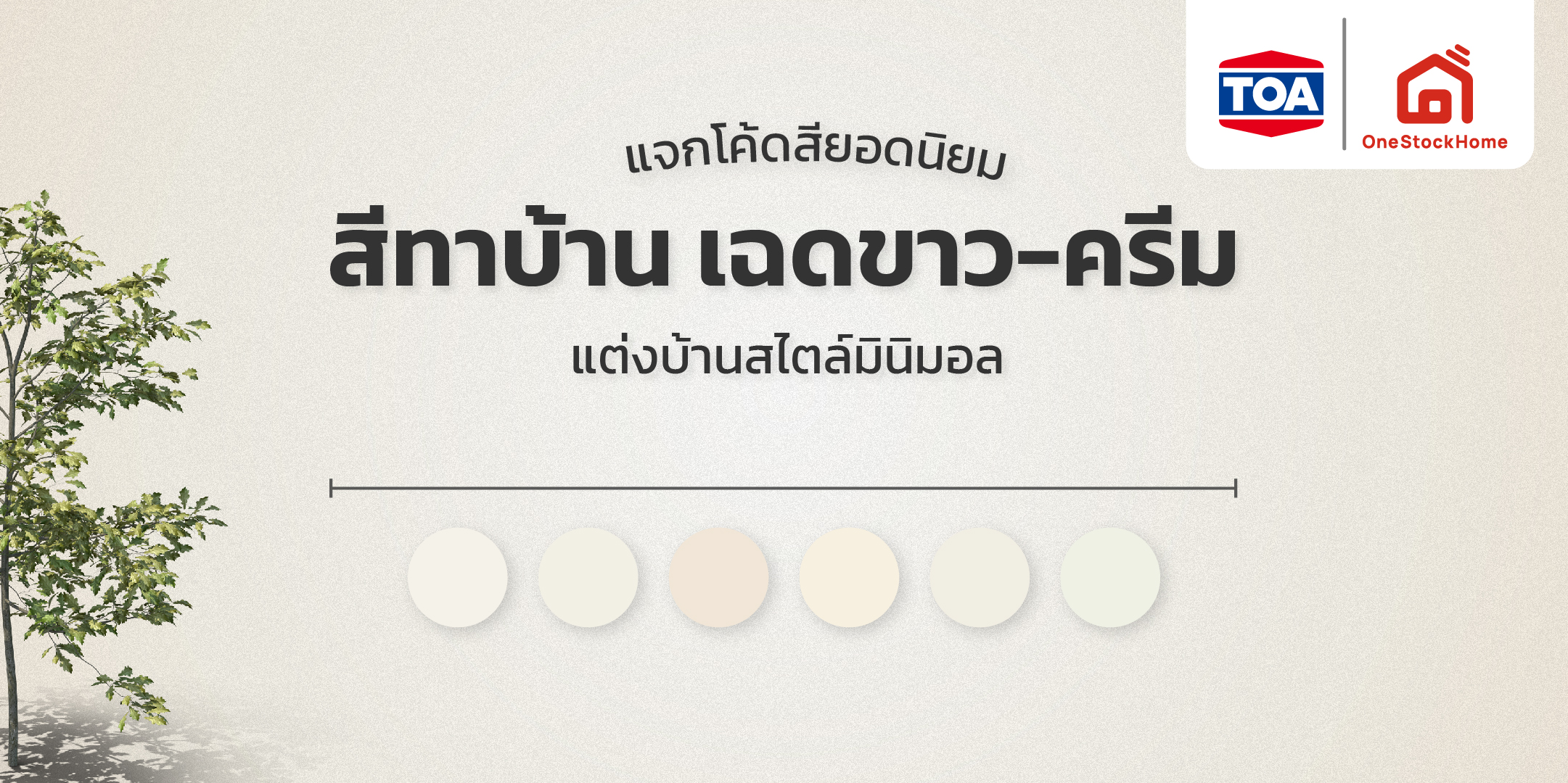 กลุ่มเฉดสีขาว-ครีม เป็นที่นิยมสำหรับสไตล์มินิมอล | OneStockHome