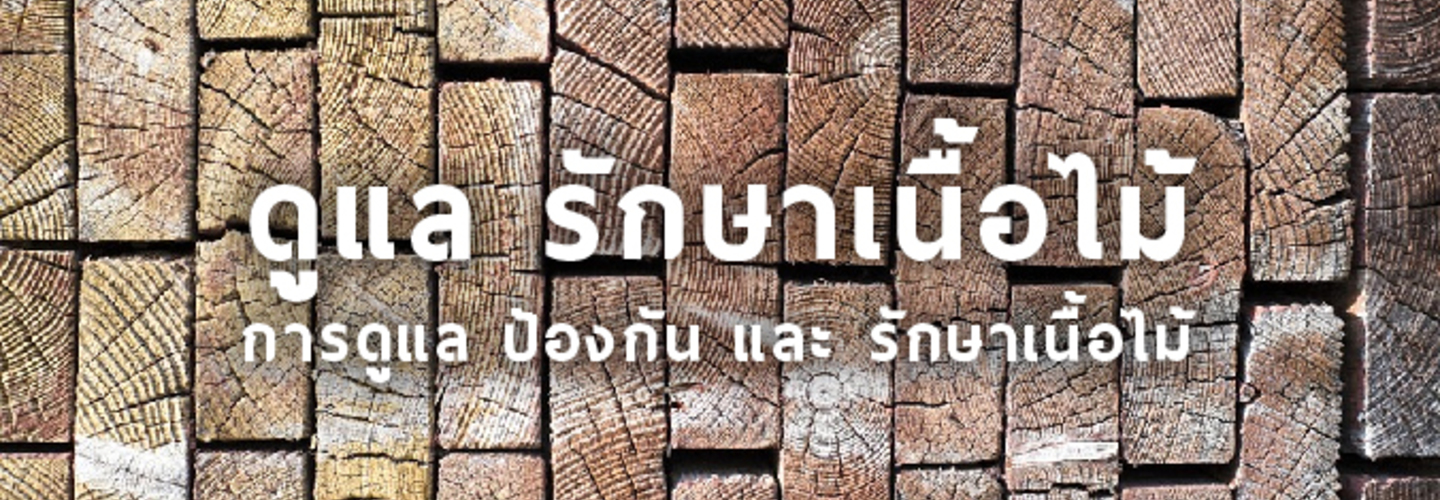 การดูแล ป้องกัน และ รักษาเนื้อไม้