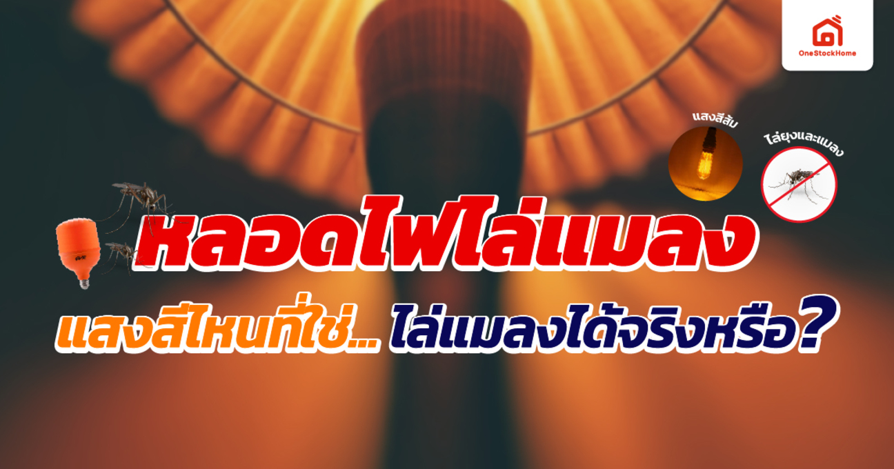 หลอดไฟไล่แมลง: แสงสีไหนที่ใช่... ไล่แมลงได้จริงหรือ?